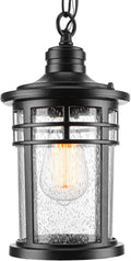 Outdoor Pendant Light Black Medium